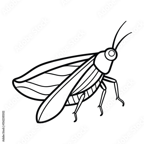 treehopper line vector illustration