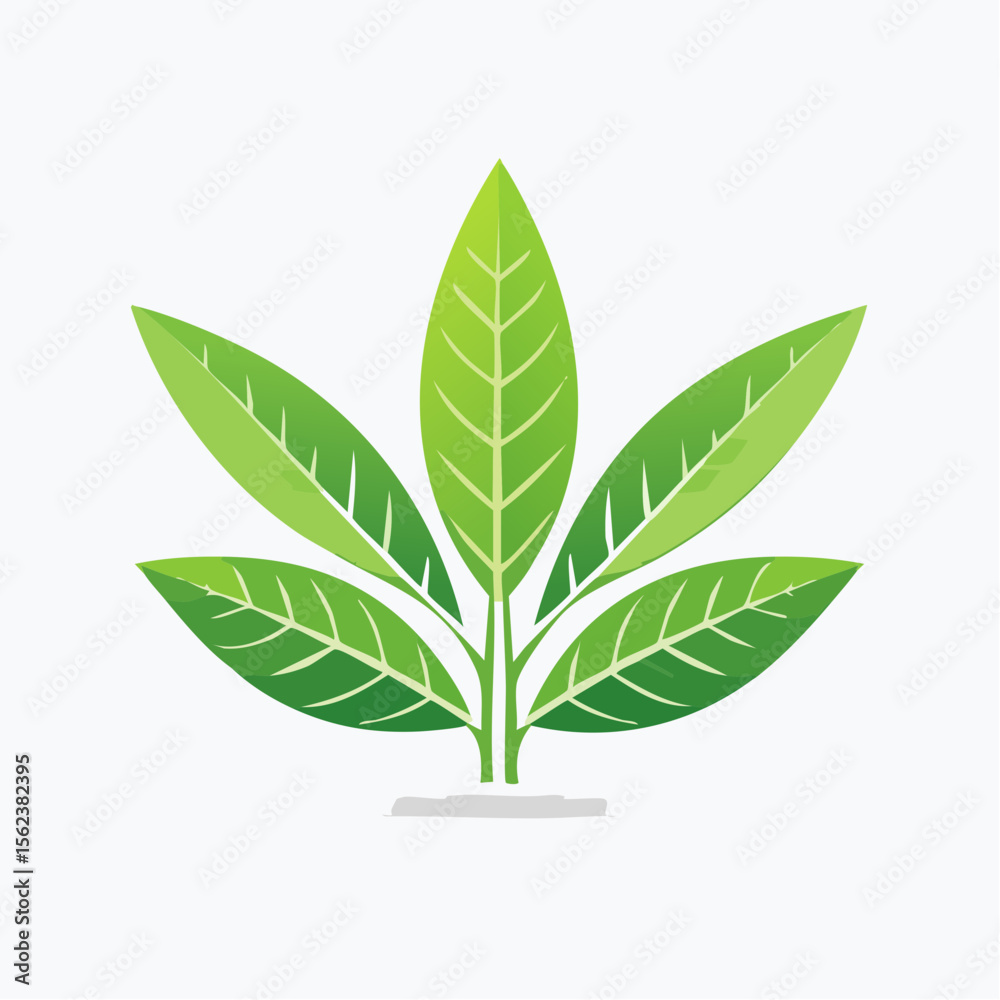 Icône feuilles de thé 