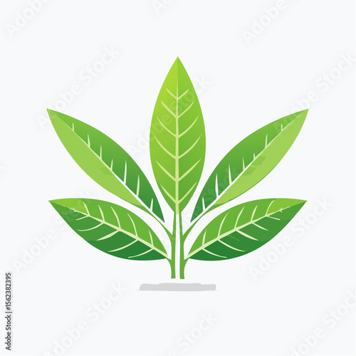 Icône feuilles de thé 