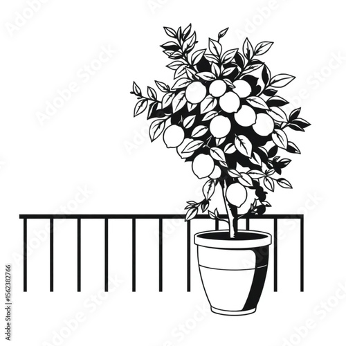A potted lemon tree on a terrace