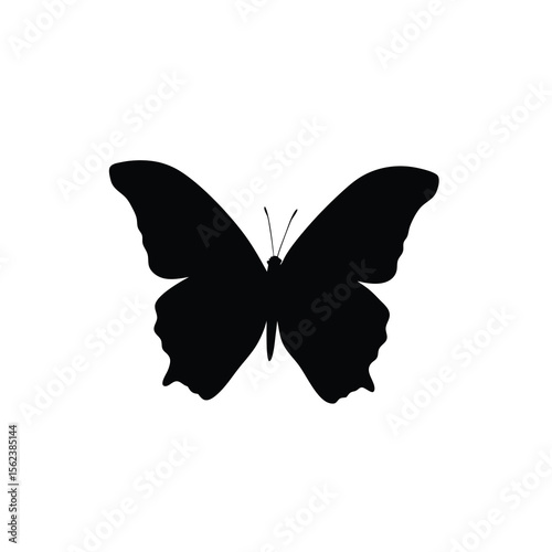 Black silhouette butterfly resting on white background Vector illustration