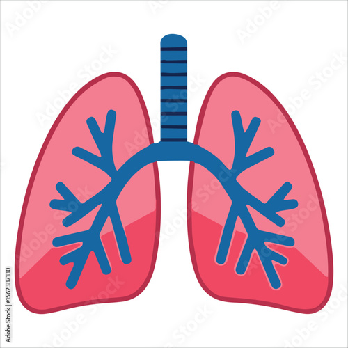 Human lungs in cartoon style. Friendly anatomy vector ideal for pediatrician offices and wellness infographics.