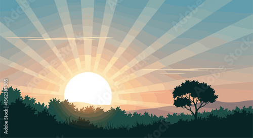 Sunrise over the forested hills with a lone tree