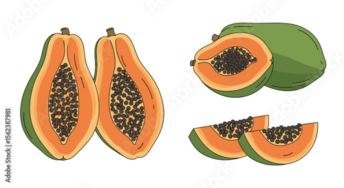 Fresh Ripe Papayas Tropical Fruit Slices and Halves