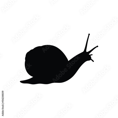 Black silhouette snail crawling on white background Vector illustration