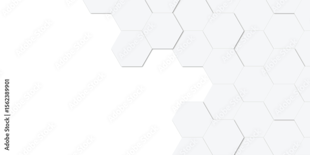 Abstract White Hexagon Vector Wallpaper with Hexagon Grid, Realistic Geometric Mesh Cells Texture, Minimal Futuristic Medical Concept on Transparent Background. Abstract White Hexagon Vector Wallpaper with Hexagon Grid, Realistic Geometric Mesh Cells Texture, Minimal Futuristic Medical Concept on Transparent Background.