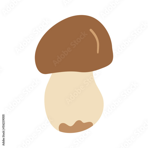 Porcini mushroom with large brown cap and thick pale stem. Hand drawn flat vector illustration