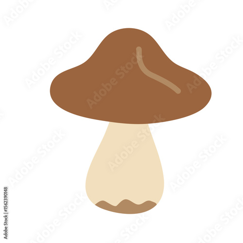 Brown forest mushroom with smooth cap and pale stem. Hand drawn flat vector illustration.