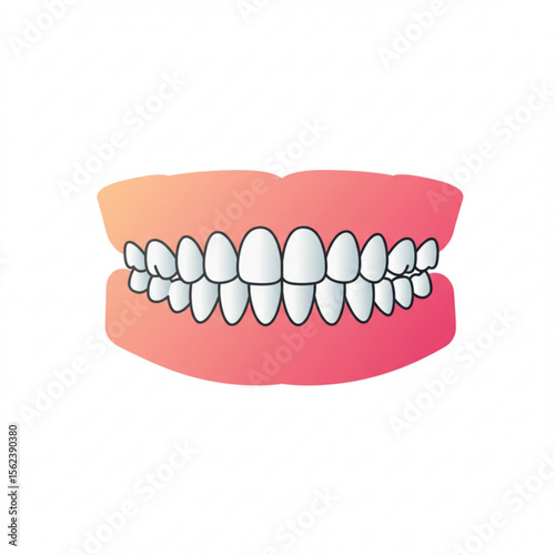 jawbone with teeth,   Human mouth with healthy teeth and pink gums in flat design style copy space