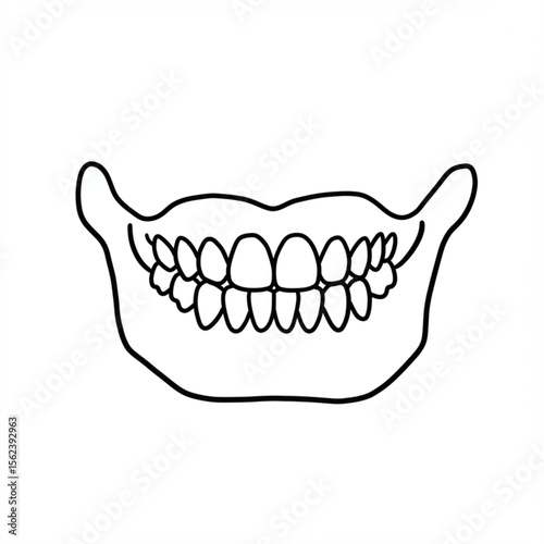 jawbone with teeth,   Outline of human mouth with teeth in simple graphic style copy space
