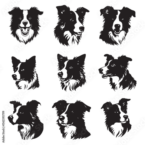 Black silhouette of border collie head
