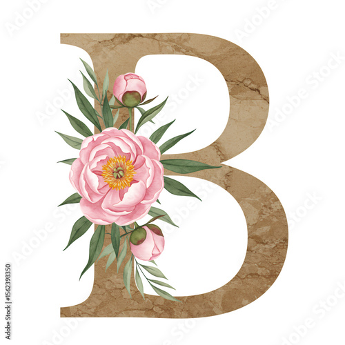 Floral letter B with pink peonies and green leaves on a marble background. Transparent background.