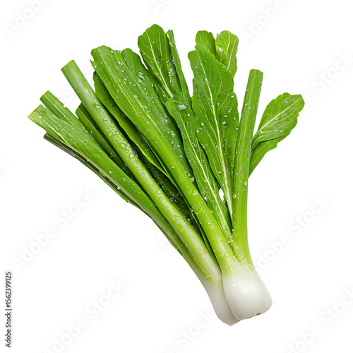 Fresh Green Leafy Vegetables with Water Droplets