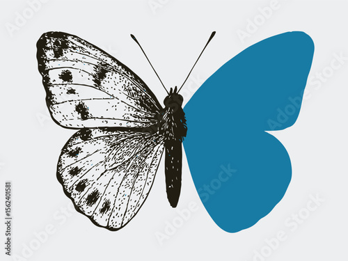 Blue butterfly halftone art collage cut out element. Paper clipping shape, spring or summer insect sticker, dotted texture, doodles and scribbles. Modern retro grunge mixed media vector illustration