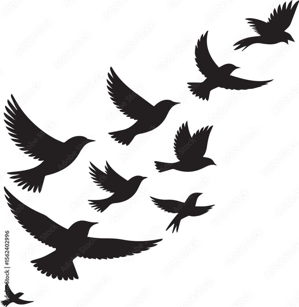 Fototapeta premium Birds silhouette vector illustration