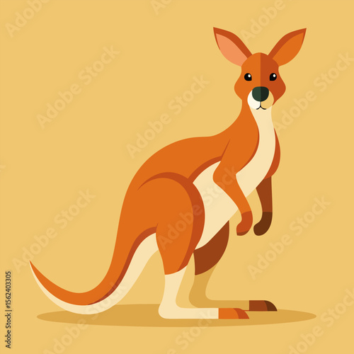 Kangaroo cartoon character isolated	