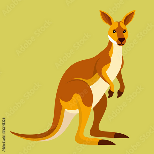 Kangaroo cartoon character isolated	