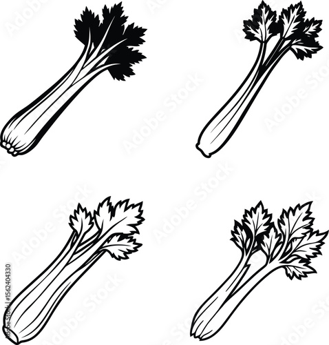Fresh vegetables vector illustration on white background with green leaves and healthy ingredients