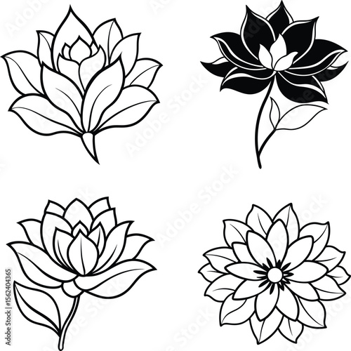 Set of vector floral elements with flowers leaves and decorative patterns