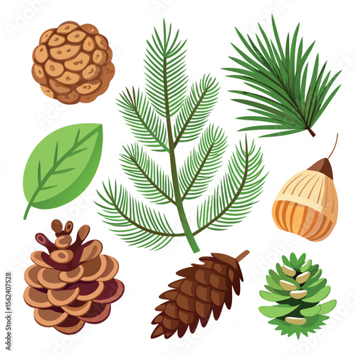Cartoon Pine Cones and Branches – Fir Tree Elements, Timber, and Shell Clipart – Hand-Drawn Forest Illustration for Seasonal Decor, Nature Crafts, and Holiday Design Projects