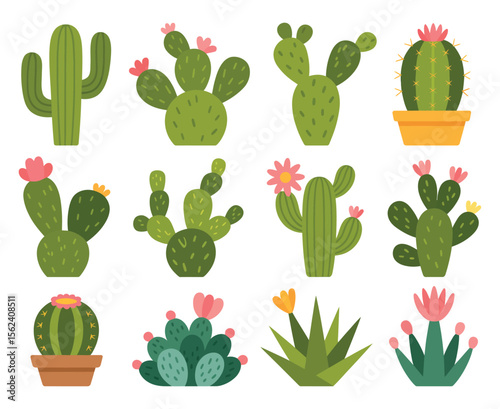 Collection of Cute Cartoon Cactus and Succulents