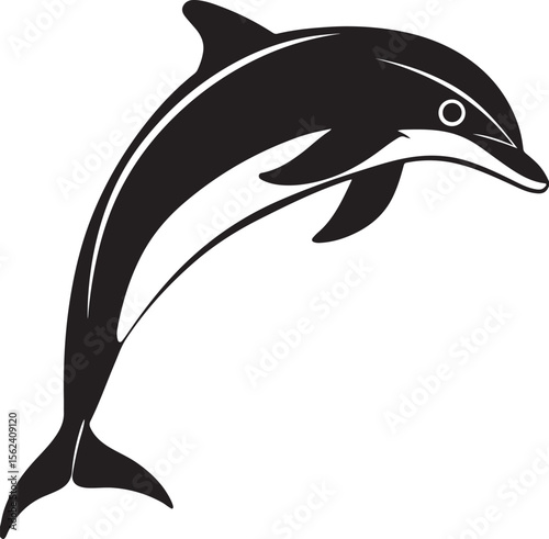 Leaping black dolphin white ocean