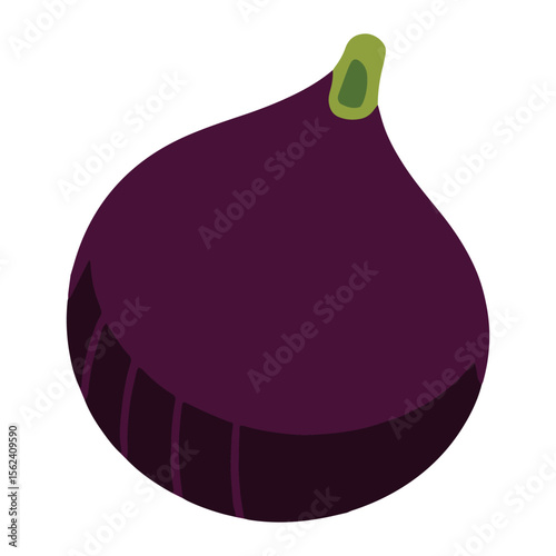 Whole fig with textured skin vector. fruit illustration isolated on white, ideal for artisan food labels and upscale recipe books.