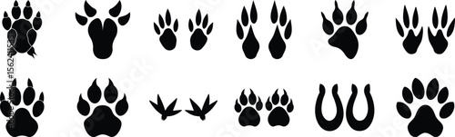 Animal paw hoof bird tracks silhouettes icons vector wildlife footprint trace nature identification guide
