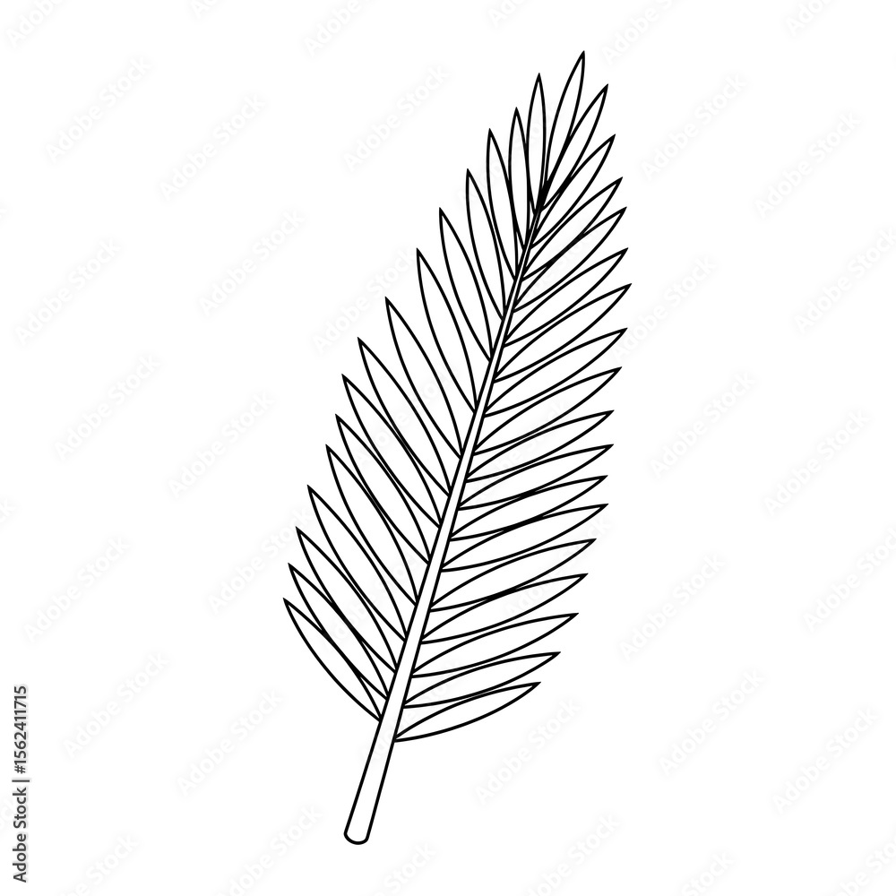 Obraz premium Simple black line drawing of a palm frond on a transparent background isolated on transparent background