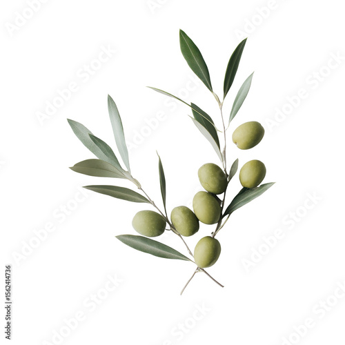 Green olives with fresh leaves arranged on a clean white background for an elegant display, Green olives with a branch on a white background