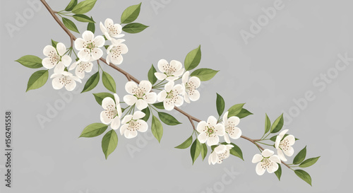 Minimalist Floral Garland with White Blossoms and Green Leaves on a Gray Background