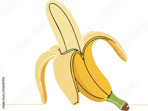 Peeled banana fruit vector illustration in yellow and green colors on white background 