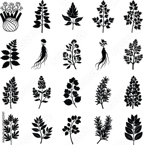 Collection of black silhouette botanical plant sprigs and roots on white background