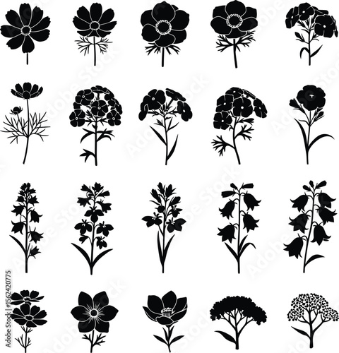 Collection of black silhouette floral illustrations and tree outlines on white background