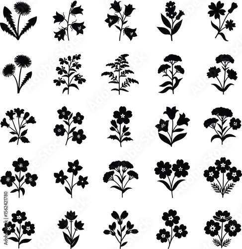 Collection of black floral silhouettes on white background flower botanical