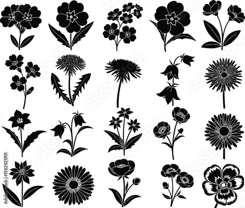 Collection of black silhouette wildflowers and garden flowers on white background