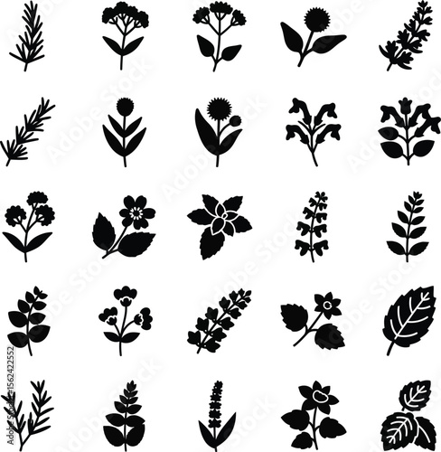 Collection of black silhouette botanical herb and flower icons on white background
