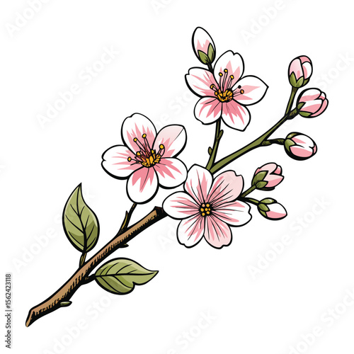 Pink cherry blossom branch vector illustration for spring floral design