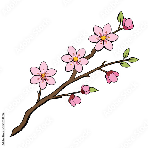 Pink cherry blossom branches bloom beautifully in spring, showcasing nature's delicate floral beauty