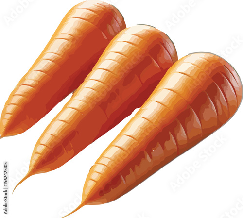 Freshly harvested orange carrots arranged on a white background for culinary or health concepts
