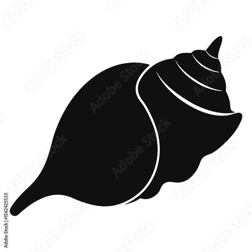 Vector illustration of conch shell