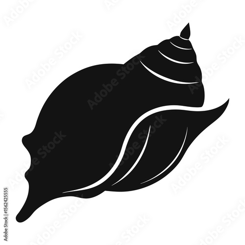 Vector illustration of conch shell