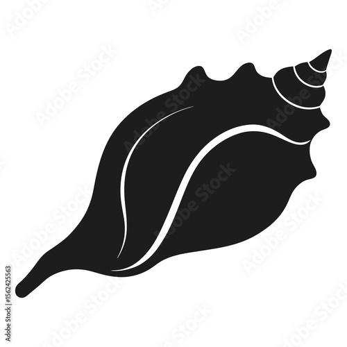 Vector illustration of conch shell