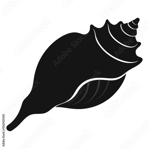 Vector illustration of conch shell