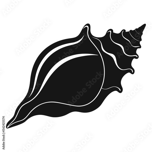 Vector illustration of conch shell