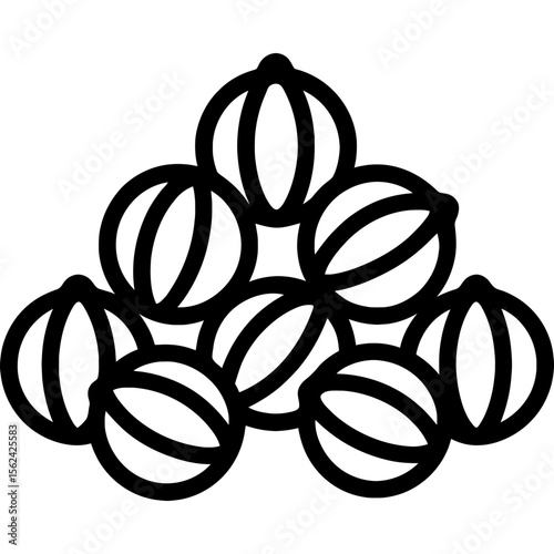 Coriander seeds outline icon vector