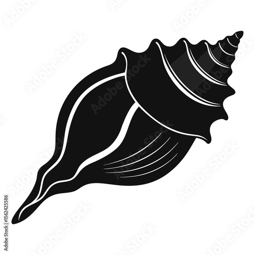 Vector illustration of conch shell