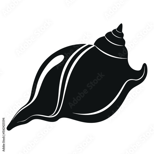Vector illustration of conch shell