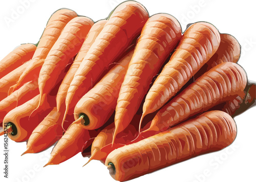 Vibrant illustration of freshly harvested carrots arranged in a pile on white background