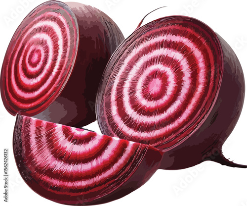 Vibrant vector illustration of sliced fresh beetroot showing concentric colorful rings